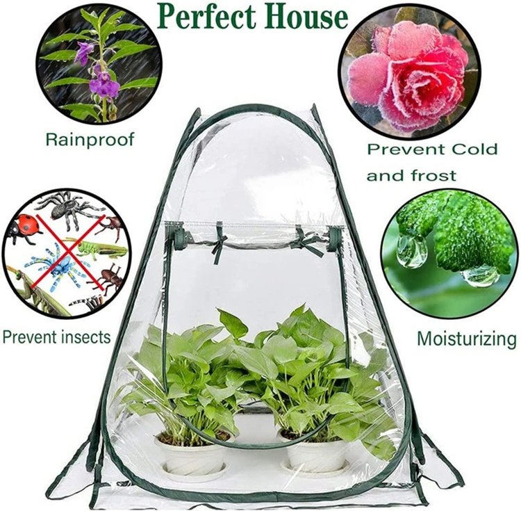 Supply Amazon Mini Small Greenhouse with Clear Plastic Cover Flower House, Portable Pop up Plant Grow Tent Shelter for Outdoor Garden Backyard