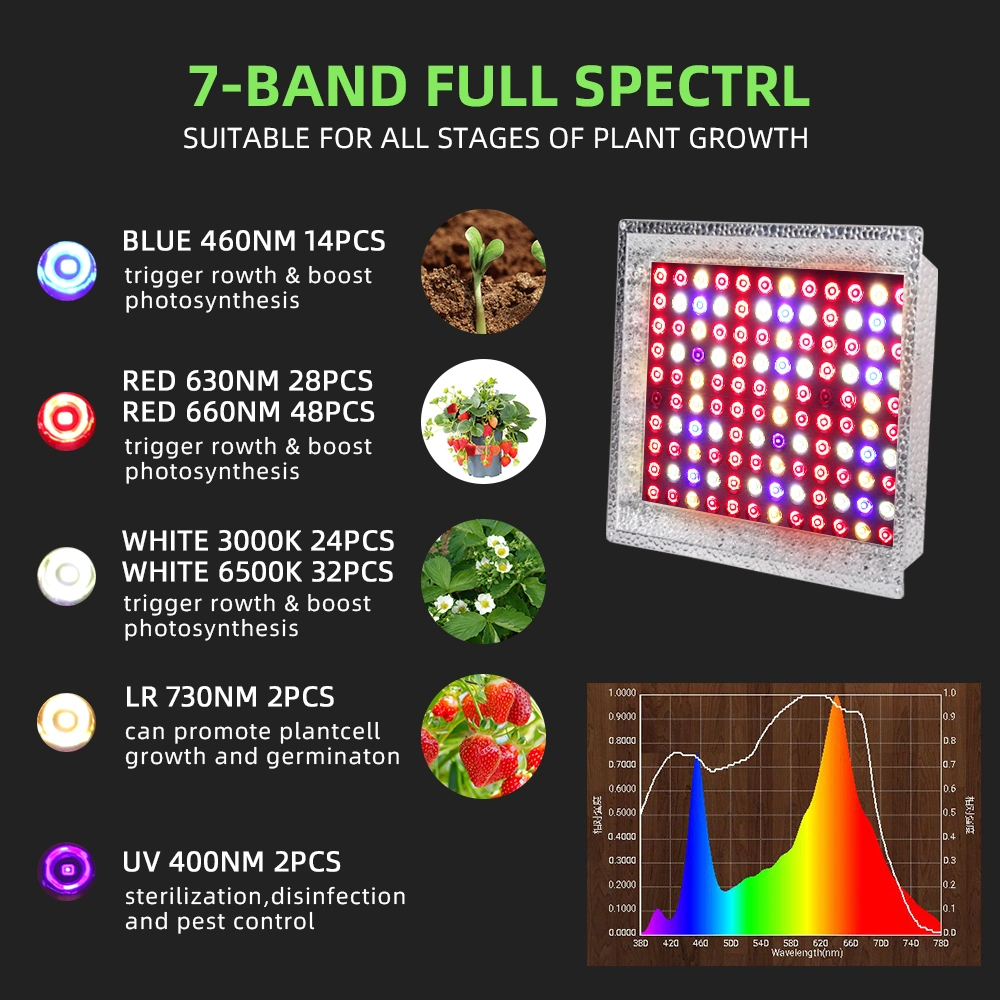 1000W Hydroponic LED Grow Light for Vertical Grow