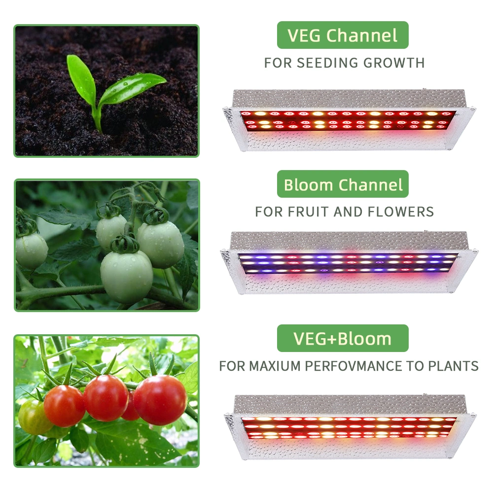 1000W Hydroponic LED Grow Light for Vertical Grow