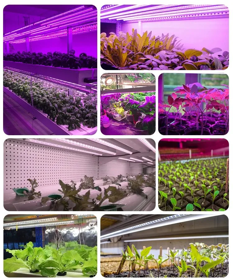 Jesled T8 LED Plant Growing Light Full Spectrum Linkable Grow Lamp for Greenhouse