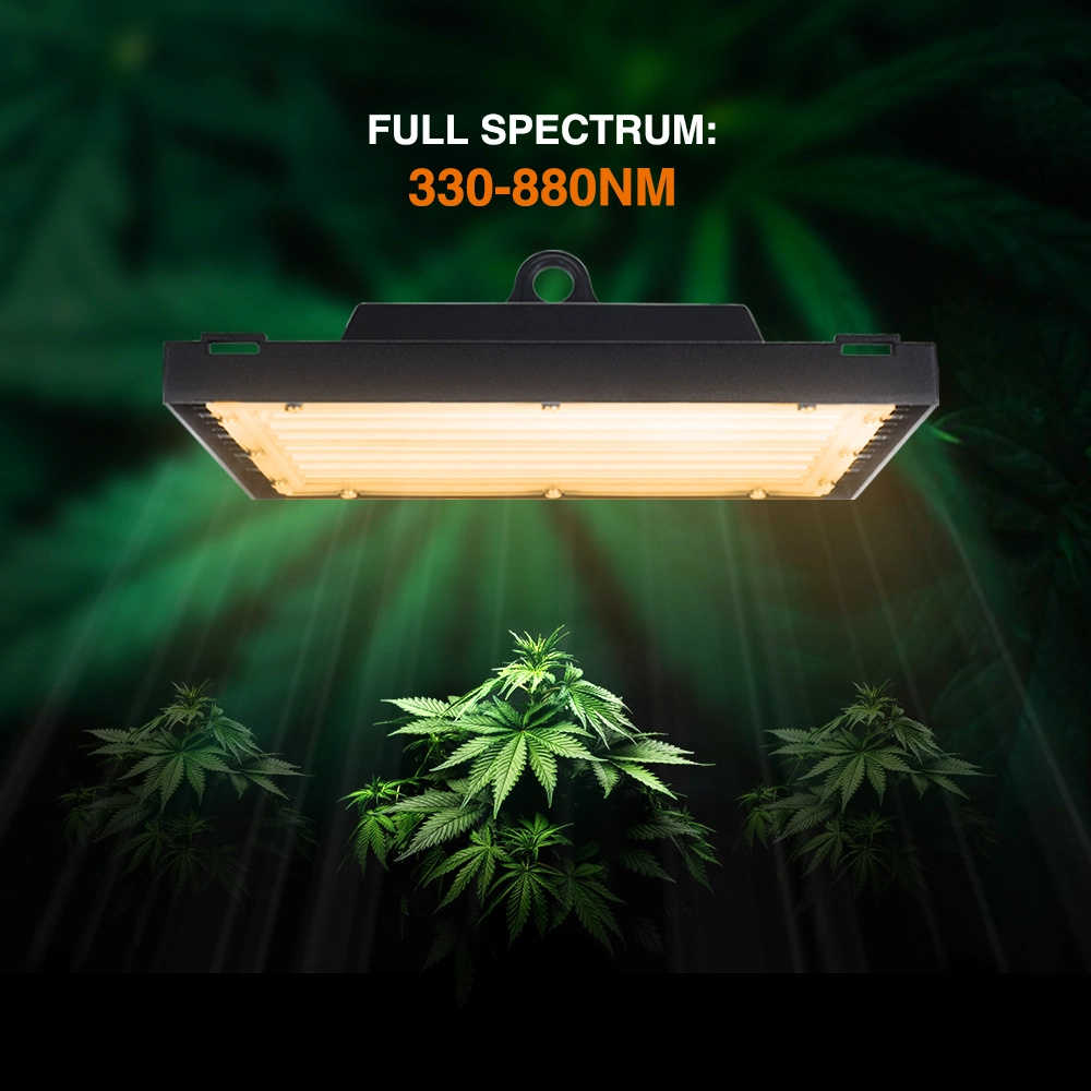 High Quality Premium High Power Garden Home IP65 Indoor Tunable Hydroponics Lighting Commercial Lamp Shenzhen Full Spectrum Indoor Plant Growth LED Grow Light