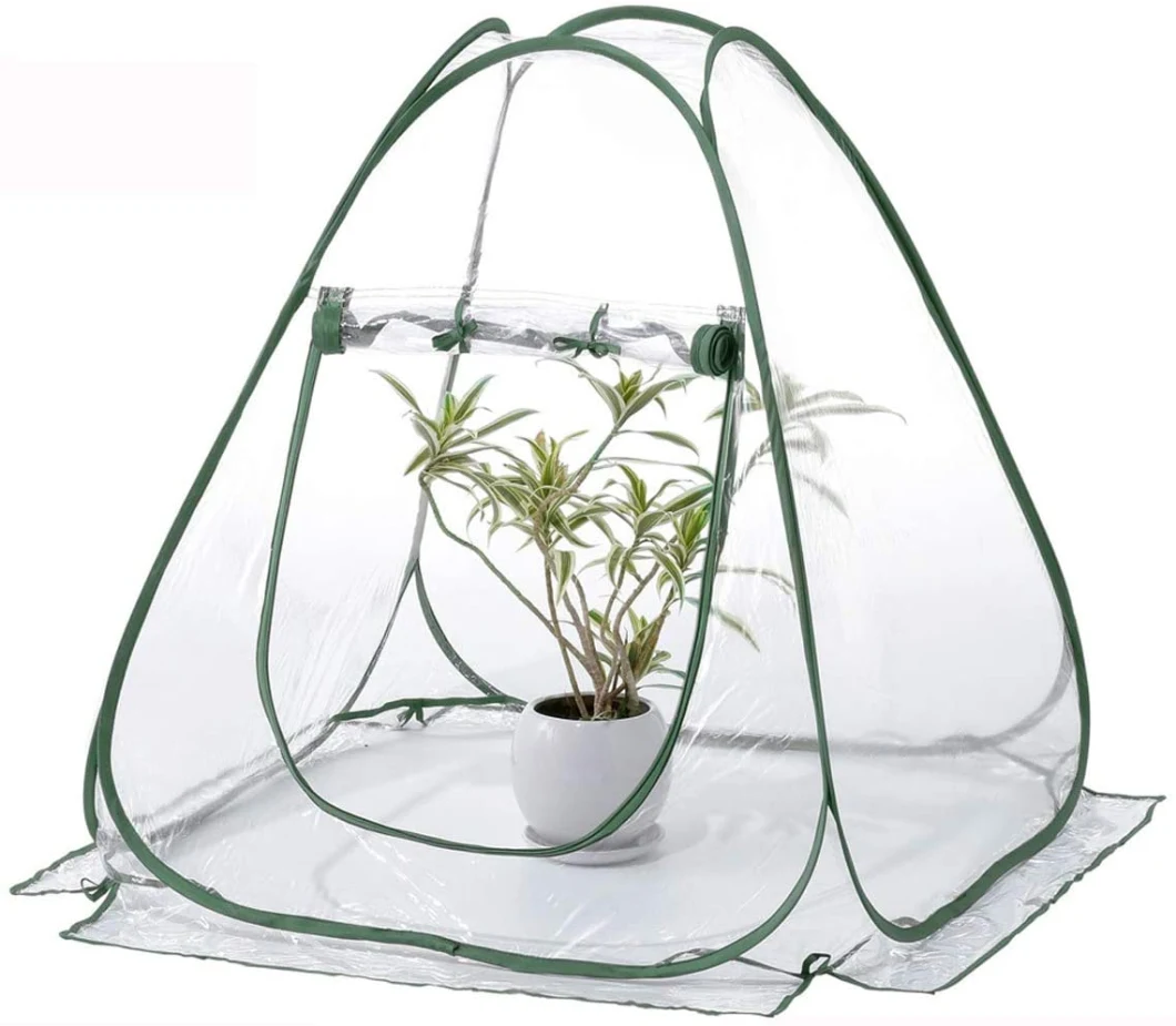 Mini Pop up Greenhouse with Clear Cover Protected Plant Grow House Portable Flower Tent Shelter for Garden Outdoor Backyard