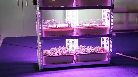 Vertical Farming Hydroponic System Greenhouse 35W 75W LED Grow Light