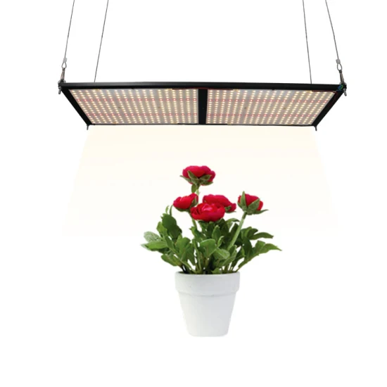 Hot Product 600W 660nm Commercial Hydroponics Full Spectrum LED Grow Light