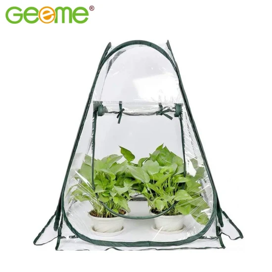Supply Amazon Mini Small Greenhouse with Clear Plastic Cover Flower House, Portable Pop up Plant Grow Tent Shelter for Outdoor Garden Backyard