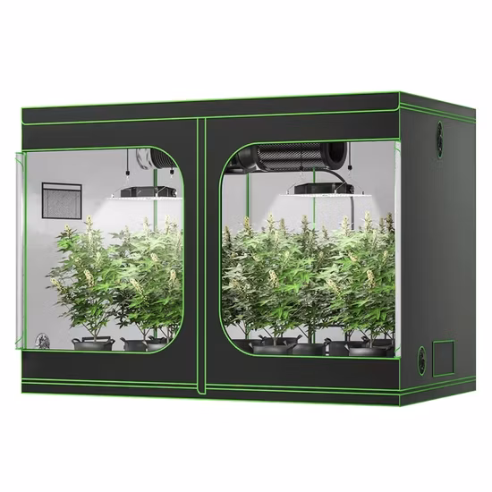 Grow Tent
