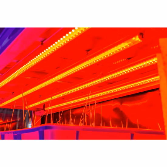 High Quality Premium High Power Garden Home IP65 Indoor Tunable Hydroponics Lighting Commercial Lamp Shenzhen Full Spectrum Indoor Plant Growth LED Grow Light