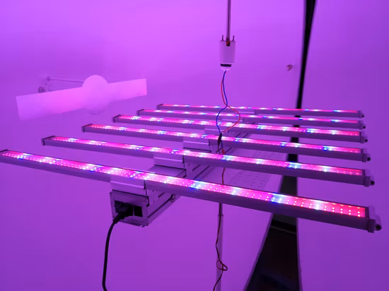 Quantum Board Full Spectrum 300W/600W/800W/1000W LED Grow Light for Vertical Farming/Medical Planting/Flowering/Fruiting