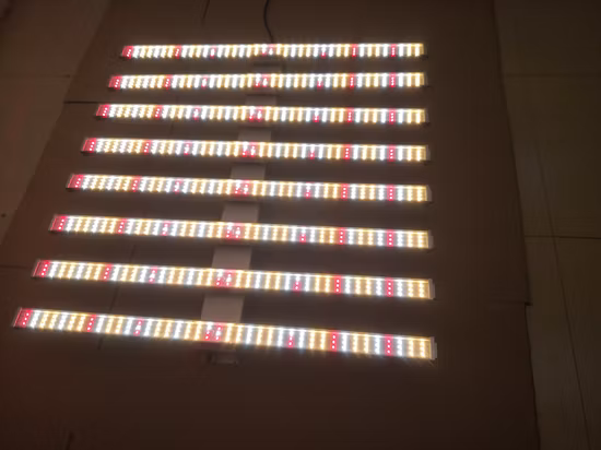 50W/75W/80W/100W/150W/300W/400W/450W/500W/600W/650W/700W/800W/900W/1000W/1200W/1500W COB/SMD LED Grow Light