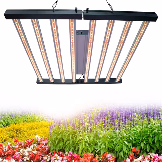 Commercial Vertical Farming Medical Plants Full Spectrum 320W/6802/1000W Bar Spydr LED Grow Light
