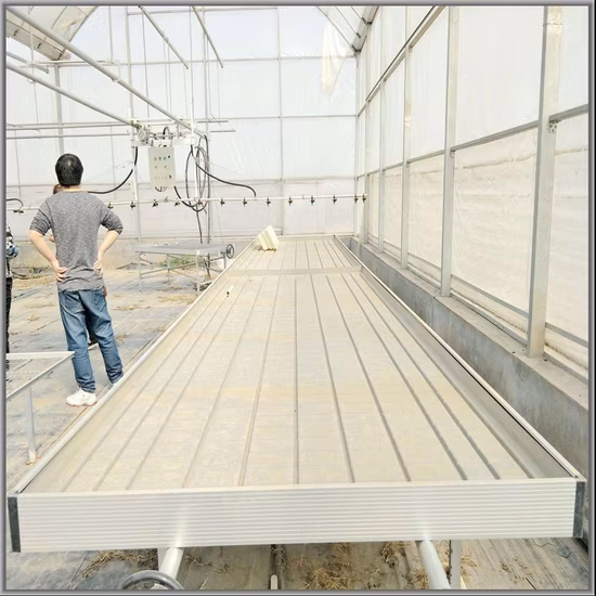 Strawberry Seedling Tray Nursery Tray Blue Greenhouses Equipments Strawberry Grow Tent